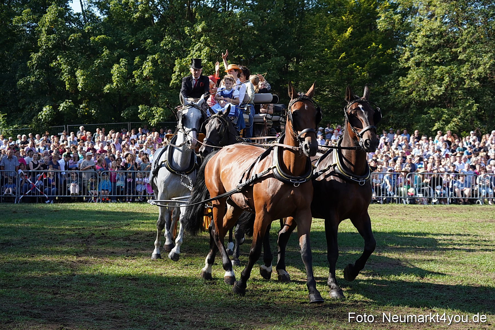 Pferde und Fohlenschau 2022 0112 